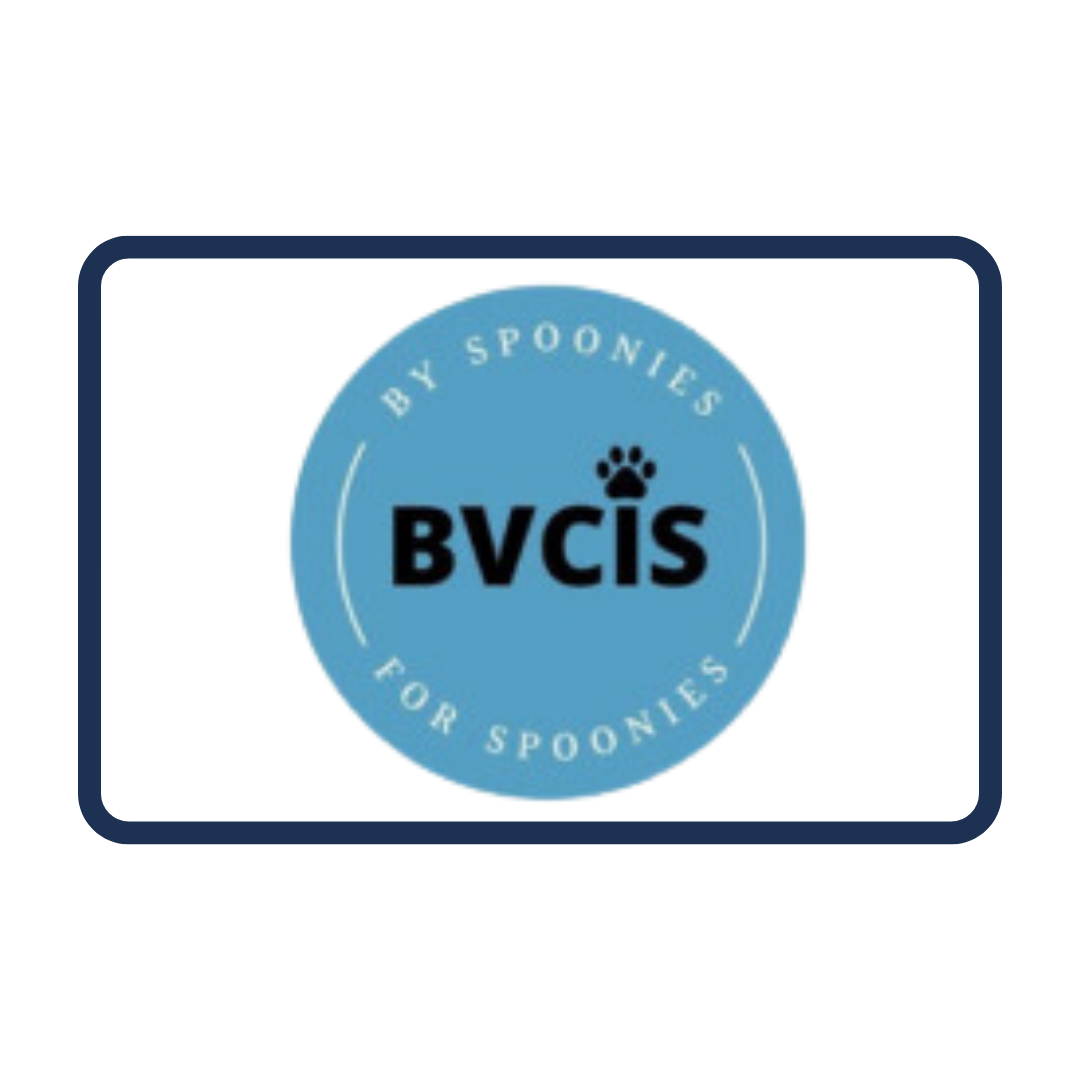 BVCIS Logo